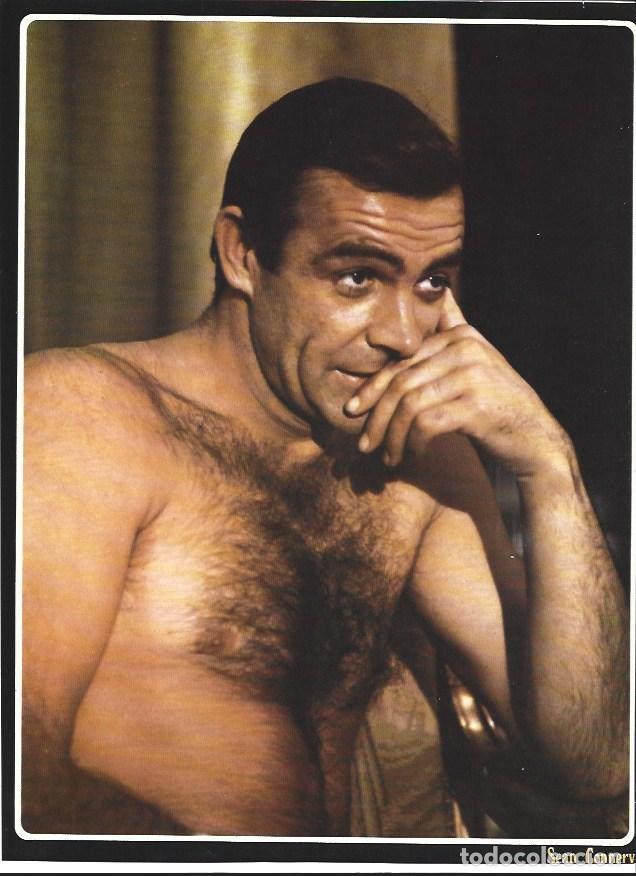 Collectionnisme Papier divers: LAMINA 36746: Sean Connery - VVAA
