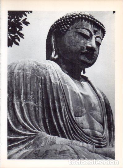 Otros art&iacute;culos de coleccionismo en papel: LAMINA V43605: Detalle Buda de Kamakura, Japon - Varios