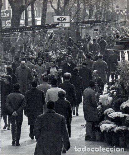Otros art&iacute;culos de coleccionismo en papel: LAMINA V45379: Les Rambles, Barcelona - Josep Pla