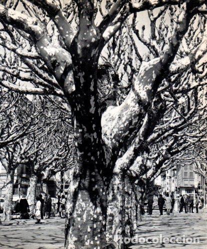Otros art&iacute;culos de coleccionismo en papel: LAMINA V45494: La Rambla de la Seu d'Urgell - Josep Pla