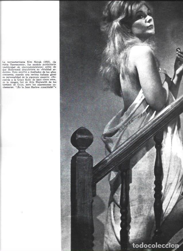 Otros art&iacute;culos de coleccionismo en papel: LAMINA 38302: Kim Novak - VVAA