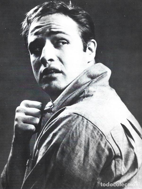 Otros art&iacute;culos de coleccionismo en papel: LAMINA 38329: Marlon Brando - VVAA