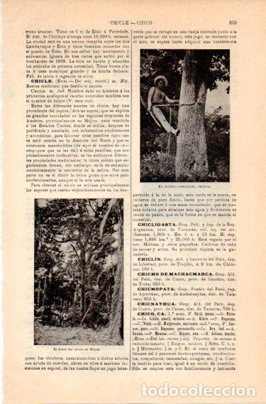 Outros artigos de papel: LAMINA V46789: Un chichero trabajando en un arbol, Mejico - Varios