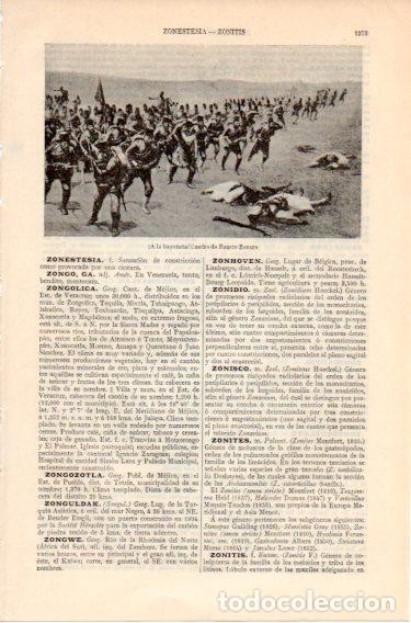 Otros art&iacute;culos de coleccionismo en papel: LAMINA V46693: A la bayoneta por Fausto Zonaro - Varios