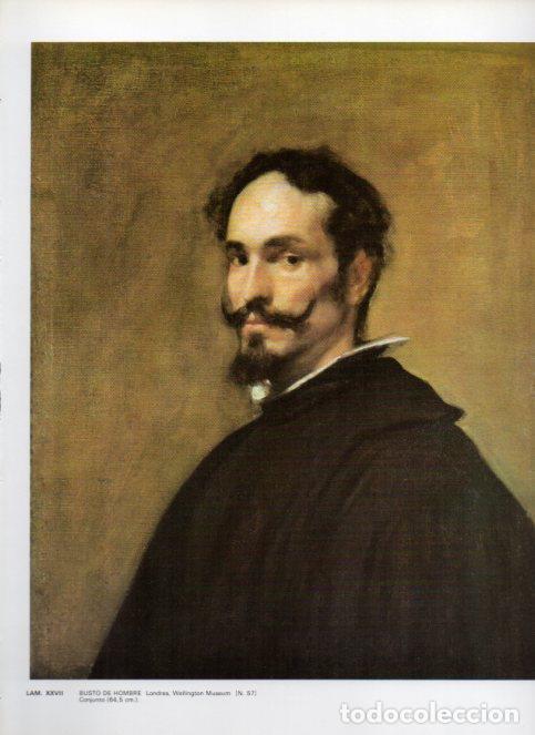 Otros art&iacute;culos de coleccionismo en papel: LAMINA V47148: Busto de hombre por Velazquez