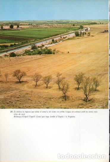 Otros art&iacute;culos de coleccionismo en papel: LAMINA V47666: Canal a Bellpuig d'Urgell - Antoni Rovira i Virgili