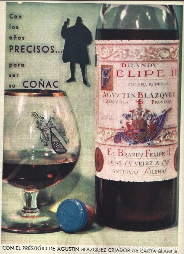 Otros art&iacute;culos de coleccionismo en papel: LAMINA 35456: Publicidad de brandy Felipe II - VVAA