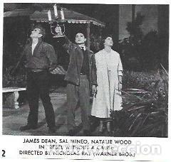 Otros art&iacute;culos de coleccionismo en papel: LAMINA 39910: James Dean y Natalie Wood en Rebelde sin causa