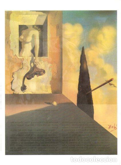 Otros art&iacute;culos de coleccionismo en papel: LAMINA V50201: Salvador Dali. Instrument masoquista