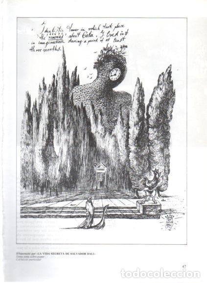 Otros art&iacute;culos de coleccionismo en papel: LAMINA V50196: Salvador Dali. Il&middot;lustracio per La Vida secreta de Salvador Dali