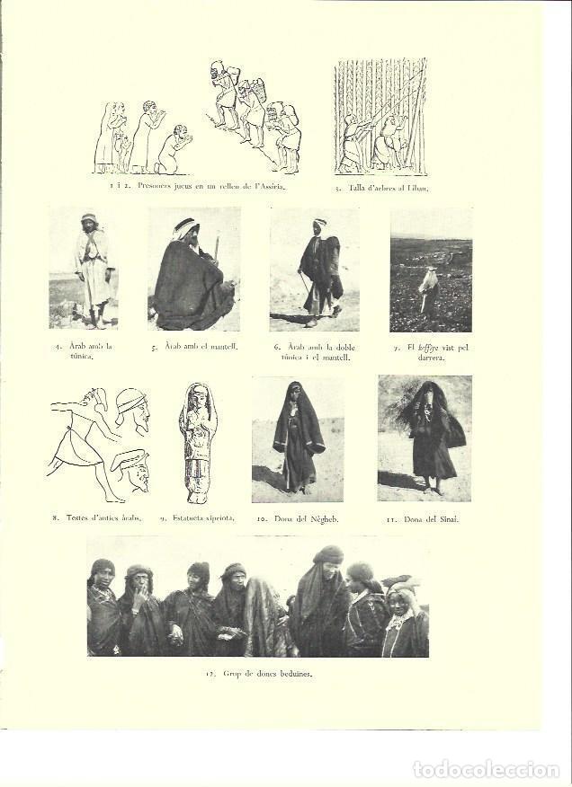Otros art&iacute;culos de coleccionismo en papel: LAMINA 36447: Hombres y mujeres arabes en Palestina - VVAA