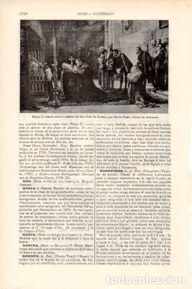 Otros art&iacute;culos de coleccionismo en papel: LAMINA V51868: Felipe II orando por C. Ooms - Varios.