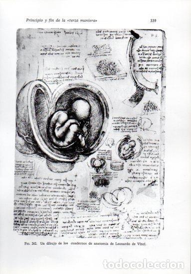Otros art&iacute;culos de coleccionismo en papel: LAMINA V41275: Dibujo de los cuadernos de anatomia por da Vinci - Leonardo Benevolo