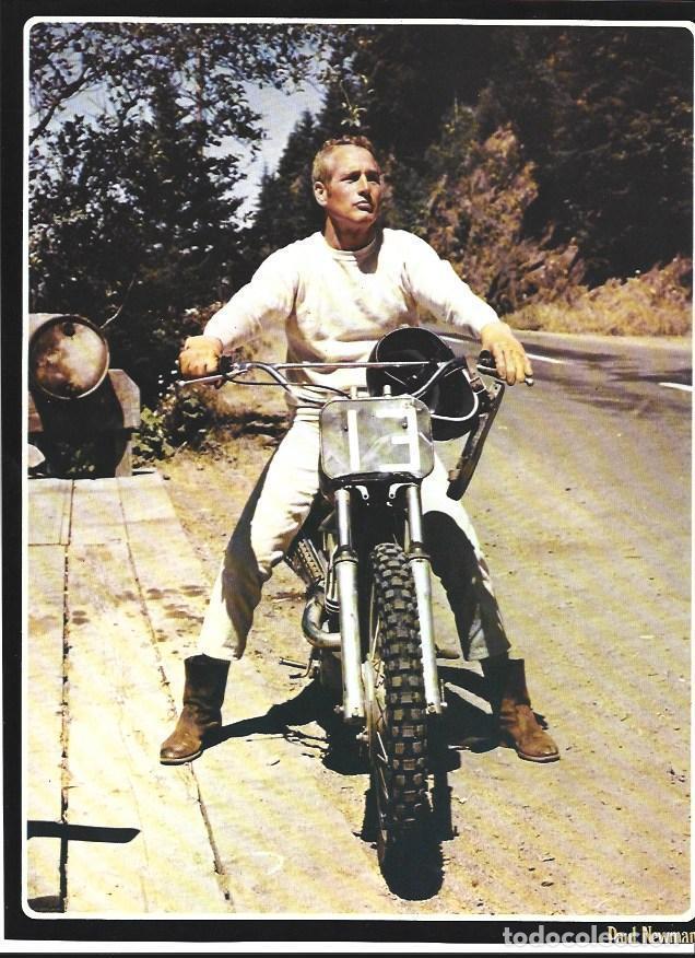 Otros art&iacute;culos de coleccionismo en papel: LAMINA 36761: Paul Newman - VVAA