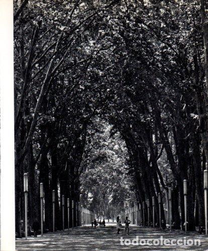 Otros art&iacute;culos de coleccionismo en papel: LAMINA V45400: Passeig de la Devesa de Girona - Josep Pla