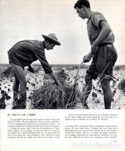 Otros art&iacute;culos de coleccionismo en papel: LAMINA V45557: Conreu d'arr&ograve;s al Delta de l'Ebre - Josep Pla