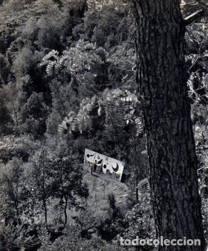Otros art&iacute;culos de coleccionismo en papel: LAMINA V45446: Joan Llorens pintant al bosc de Gallifa - Josep Pla