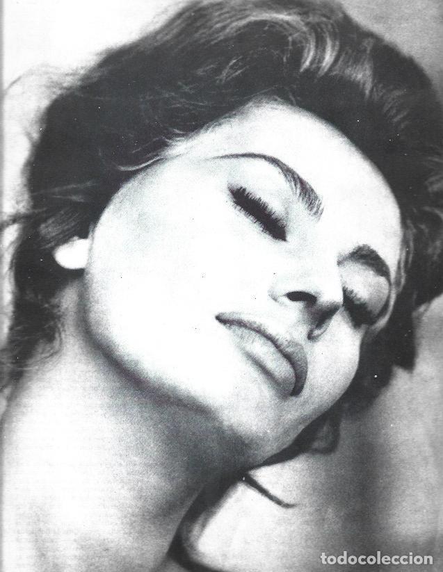 Otros art&iacute;culos de coleccionismo en papel: LAMINA 38340: Sofia Loren - VVAA