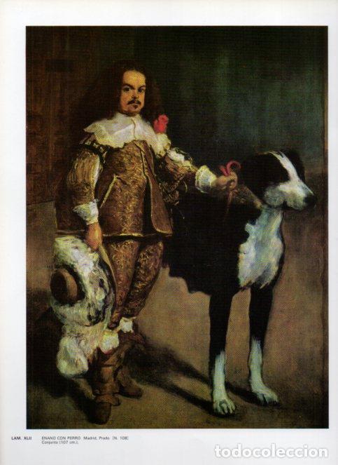 Otros art&iacute;culos de coleccionismo en papel: LAMINA V47155: Enano con perro por Velazquez