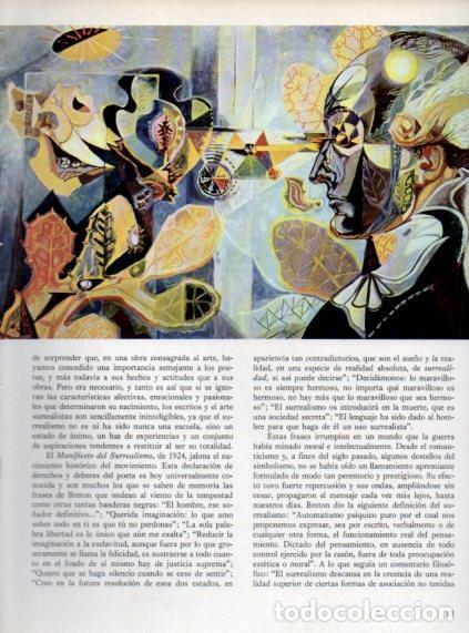 Otros art&iacute;culos de coleccionismo en papel: LAMINA V48022: Goethe y la metamorfosis de las plantas por Andre Mason - J. Pijoan
