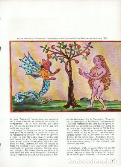 Otros art&iacute;culos de coleccionismo en papel: LAMINA V48874: Eva representada d'una biblia germanica 1483