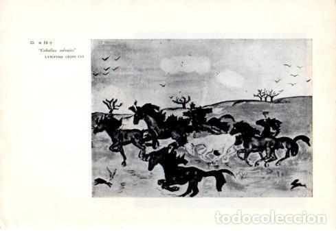 Otros art&iacute;culos de coleccionismo en papel: LAMINA V48805: Caballos Salvajes por Langford Grove School - Herbert Read
