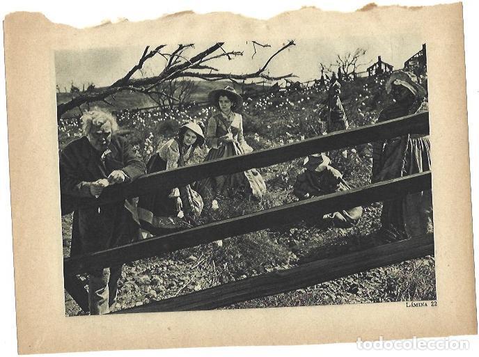 Otros art&iacute;culos de coleccionismo en papel: LAMINA 39366: Fotograma de Lo que el viento se llevo