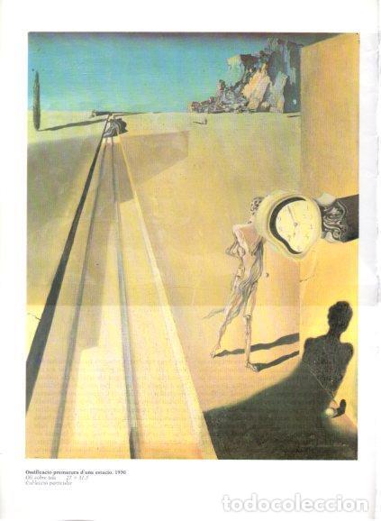 Otros art&iacute;culos de coleccionismo en papel: LAMINA V50197: Salvador Dali. Ossificacio prematura d'una estacio