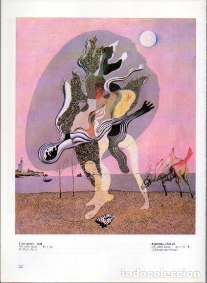 Otros art&iacute;culos de coleccionismo en papel: LAMINA V50183: Salvador Dali. L'ase podrit