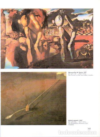 Otros art&iacute;culos de coleccionismo en papel: LAMINA V50222: Salvador Dali. Metamorfosi de Narcis i Simbol agnostic