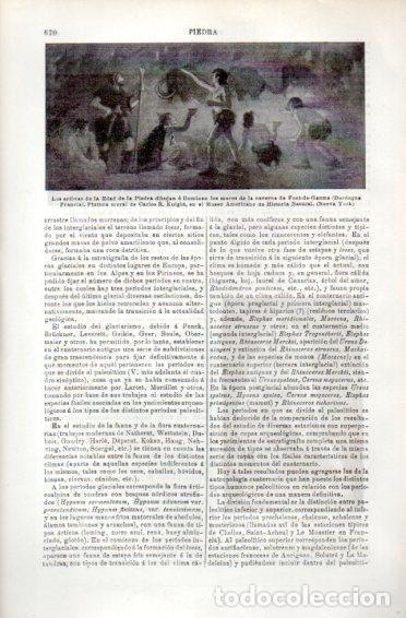 Otros art&iacute;culos de coleccionismo en papel: LAMINA V49726: Pintura mural de C. R. Knight, Museo Americano Historia Natural - Varios