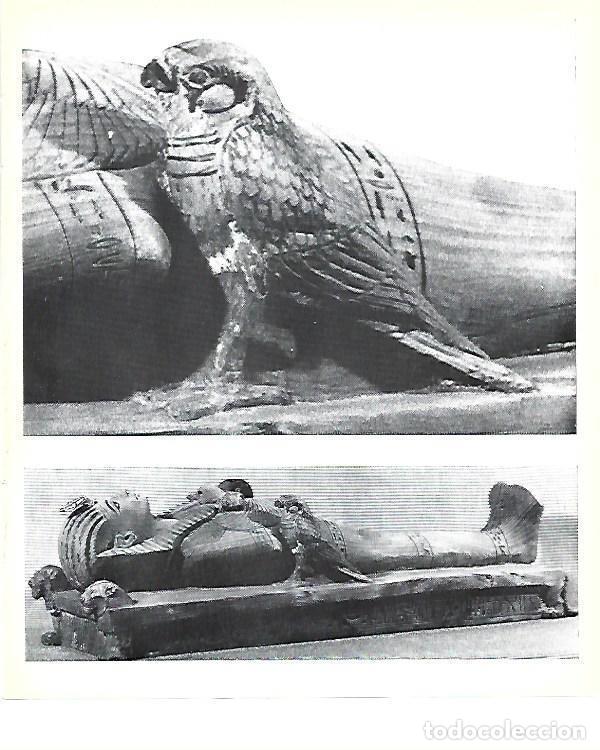 Outros artigos de papel: LAMINA 40811: Detalle de un sarcofago de Tutankhamon - Christiane Desroches-Noblecourt
