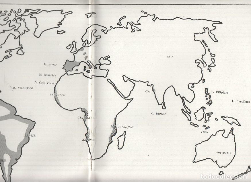 Otros art&iacute;culos de coleccionismo en papel: Lamina: Mapa del Imperio Espa&ntilde;ol en la epoca de Felipe II