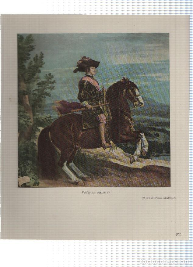 Otros art&iacute;culos de coleccionismo en papel: Lamina: Felipe IV por Velazquez