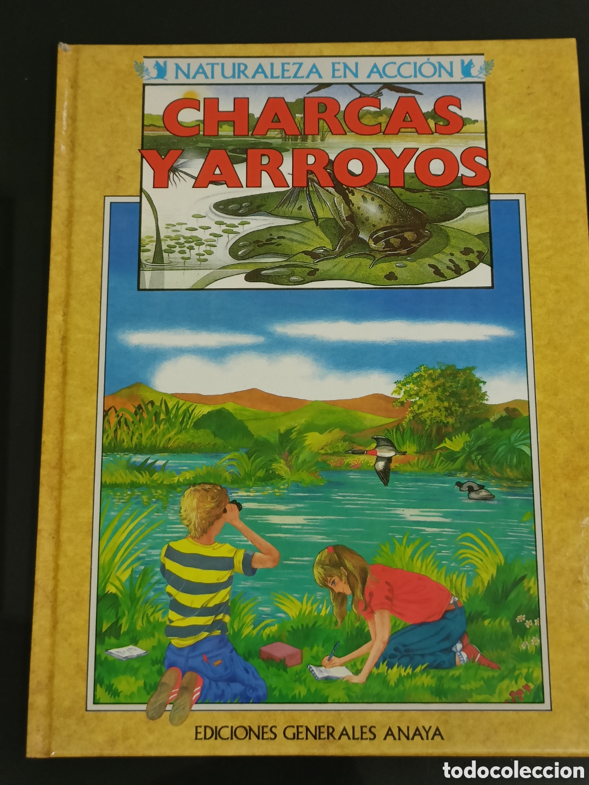 Otros Art&iacute;culos de Coleccionismo en Papel: Libro 1986&nbsp;&rdquo;Charcas y arroyos&rdquo;, parte de la colecci&oacute;n &rdquo;Naturaleza en Acci&oacute;n&rdquo; Anaya