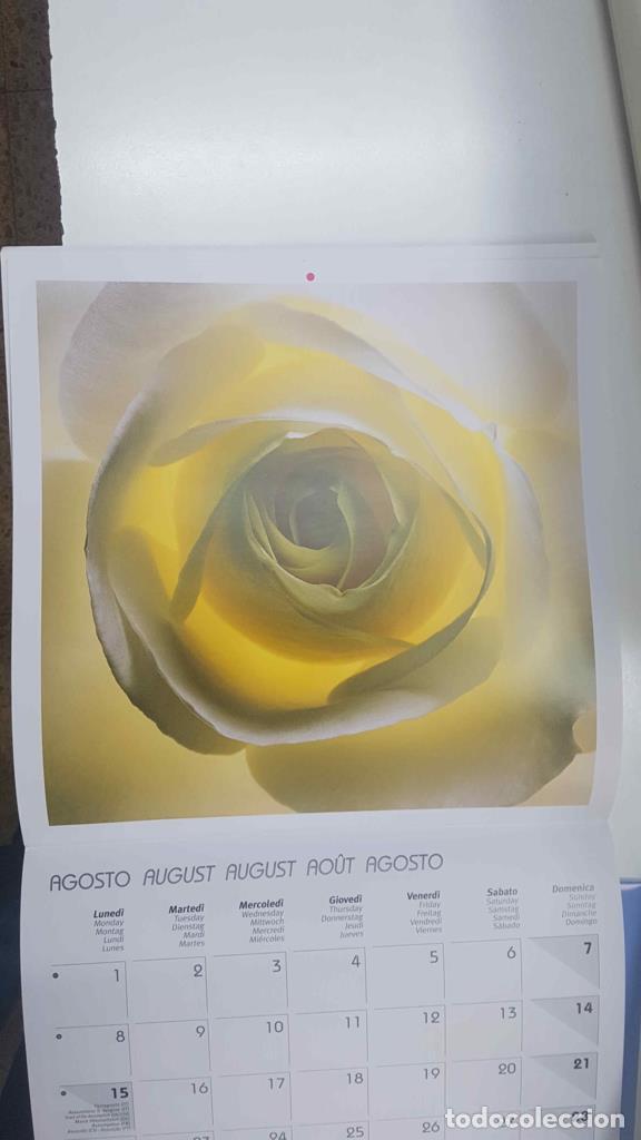 Sammelleidenschaft Andere Papierartikel: Calendario / Kalender / Calendrier / Calendar: 2011 : Roses (Rosas) - lamina 08 - varios