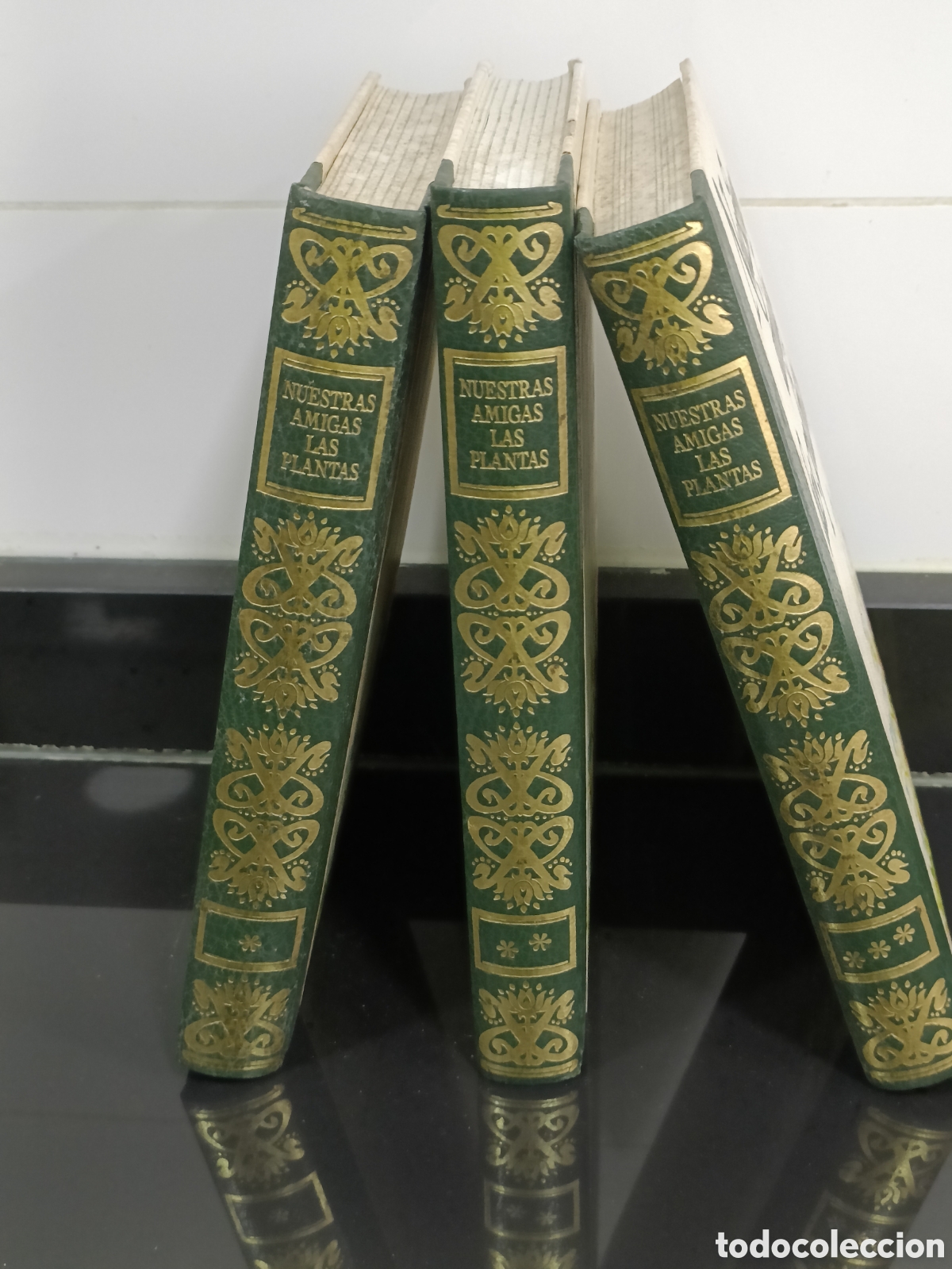 Otros Art&iacute;culos de Coleccionismo en Papel: 1977 Colecci&oacute;n libros titulados Nuestras Amigas las Plantas