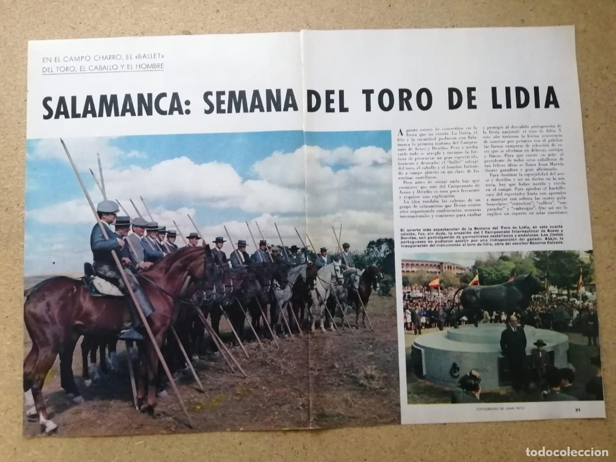 Otros Art&iacute;culos de Coleccionismo en Papel: REPORTAJE. SALAMANCA, SEMANA DEL TORO DE LIDIA