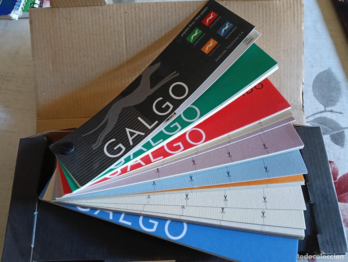 Otros Art&iacute;culos de Coleccionismo en Papel: MUESTRARIO PAPEL GALGO PAPELERA TOLOSANA GUIPUZCOA. PARCHEMIN VERJURADO NATURAL GOFRADO. CAJA ENVIO