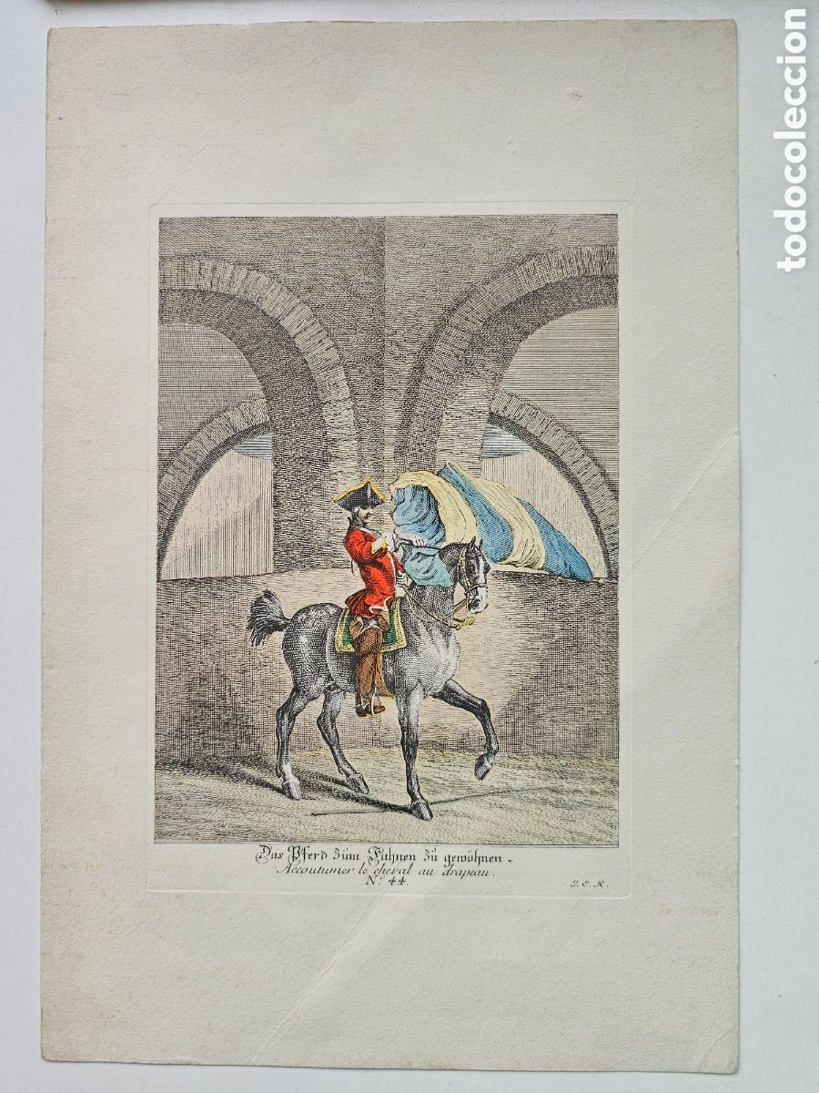 Altri oggetti di carta: Grabado Ecuestre Ridinger - Edici&oacute;n Antigua S. XIX - Escuela de Equitaci&oacute;n JER