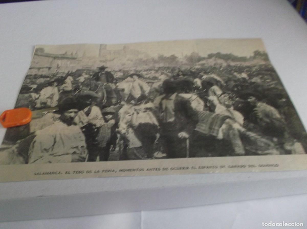 Otros Art&iacute;culos de Coleccionismo en Papel: RECORTE A&Ntilde;O 1905(SALAMANCA)EL TESO DE LA FER&Iacute;A ANTES DE OCURRIR EL ESPANTO DE GANADO