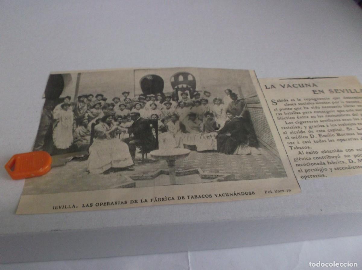 Otros Art&iacute;culos de Coleccionismo en Papel: RECORTE A&Ntilde;O 1905(SEVILLA)Sr.LUCA DE TENA Y Dr.EMILIO BORMAS ,VACuNAN &Aacute; OPERARIAS F&aacute;BRICA TABACOS