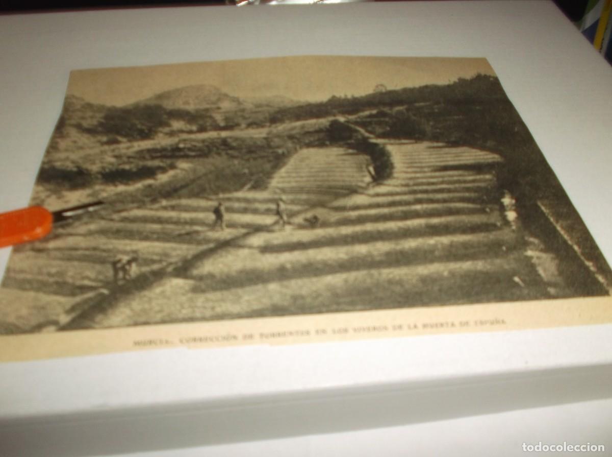 Otros Art&iacute;culos de Coleccionismo en Papel: RECORTE A&Ntilde;O 1905(MURCIA)CORRECCI&Oacute;N DE TORRENTES EN LOS VIVEROS DE LA HUERTA DE ESPU&Ntilde;A