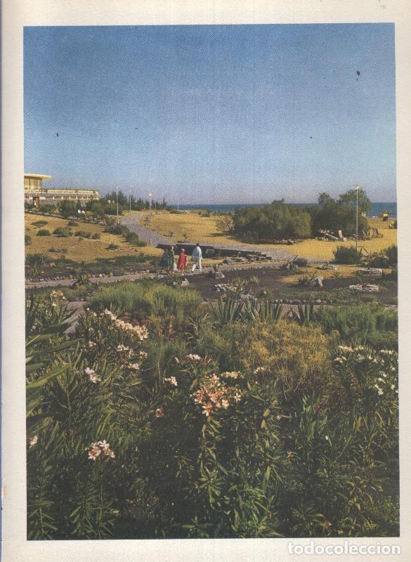 Otros art&iacute;culos de coleccionismo en papel: Gran Canaria: Lamina 18: San Agustin - Varios