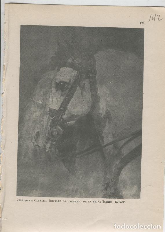 Otros art&iacute;culos de coleccionismo en papel: Arte Hispanico lamina numerada 142: Velazquez: Detalle de Caballo cuadro Reina Isabel - Varios