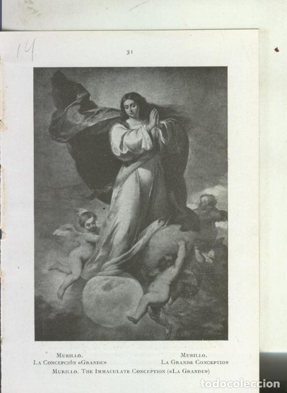 Paper Collecting Others: Museo de pinturas de Sevilla: lamina 14: La Concepcion de Murillo - Varios