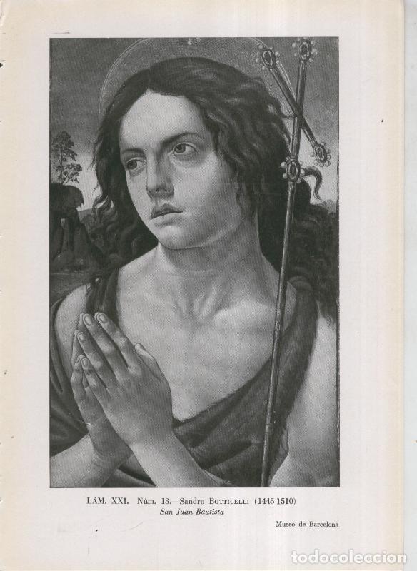 Otros art&iacute;culos de coleccionismo en papel: La coleccion Cambo, lamina 21: Sandro Botticelli: San Juan Bautista - F.J.Sanchez Canton