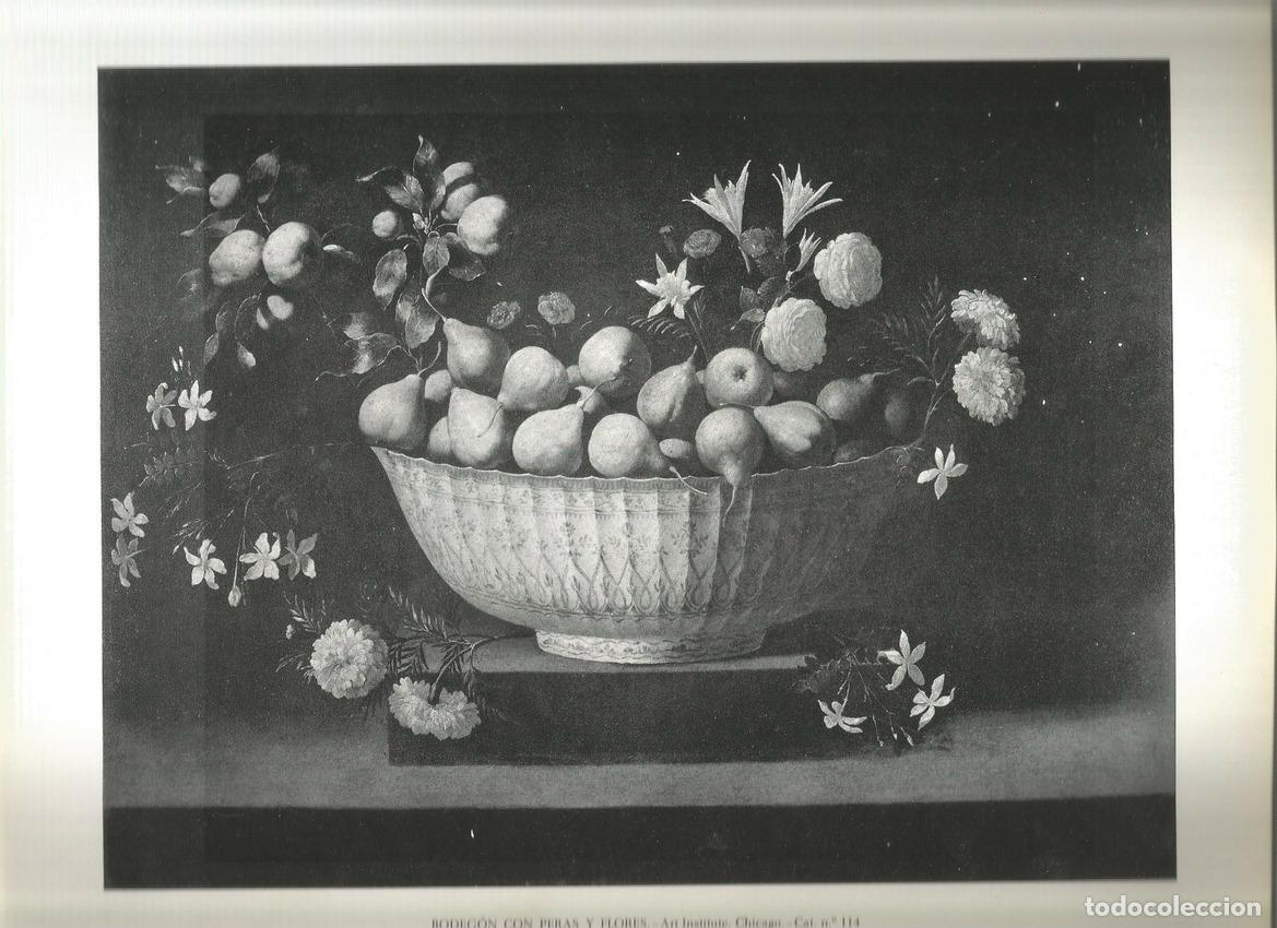 Otros art&iacute;culos de coleccionismo en papel: Lamina 035: Zurbaran. Bodegon con peras y flores - Ramon Torres Mart&iacute;n