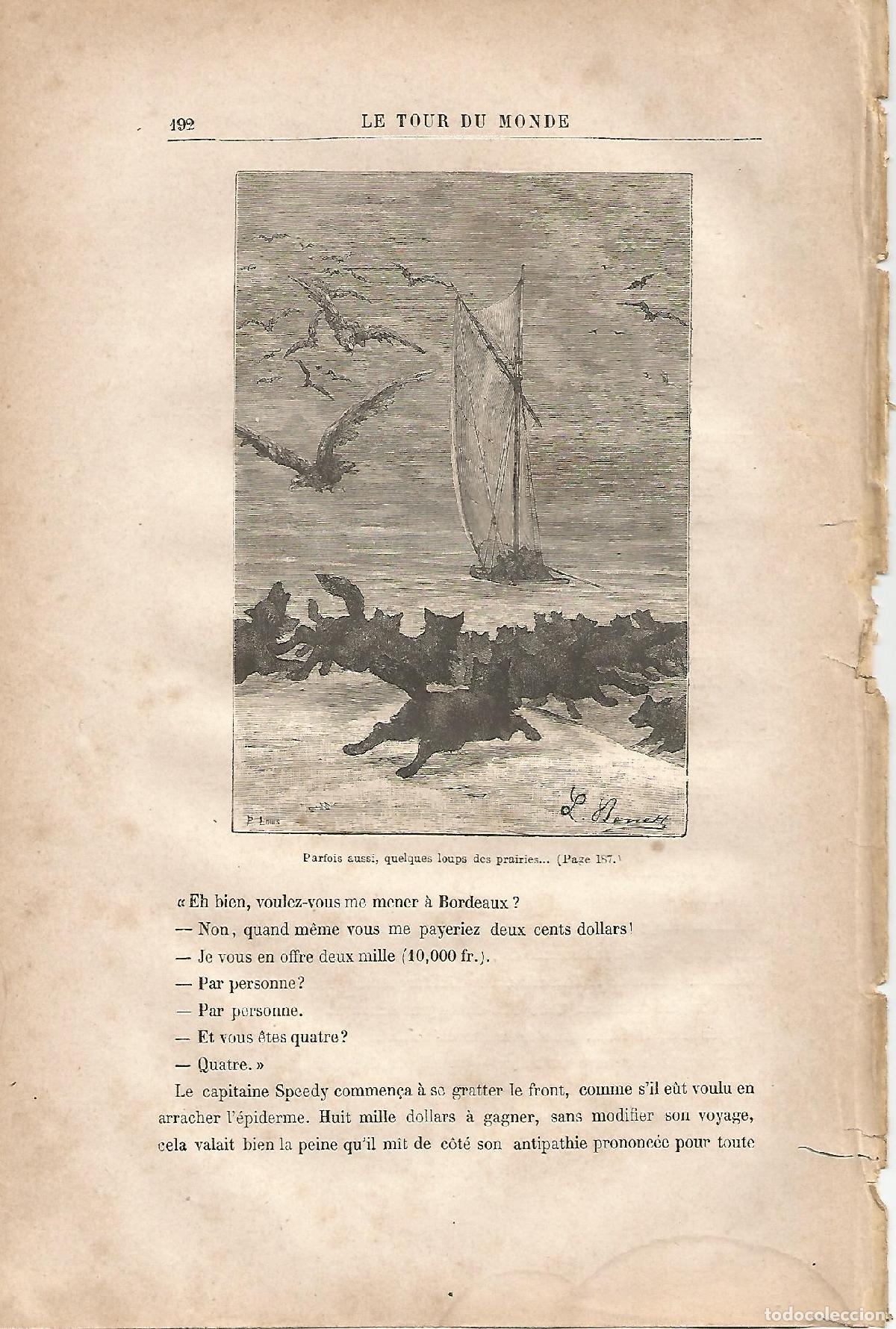Altri oggetti di carta: LAMINA 1243: VERNE. Parfois aussi quelques loups des prairies� - Jules Verne