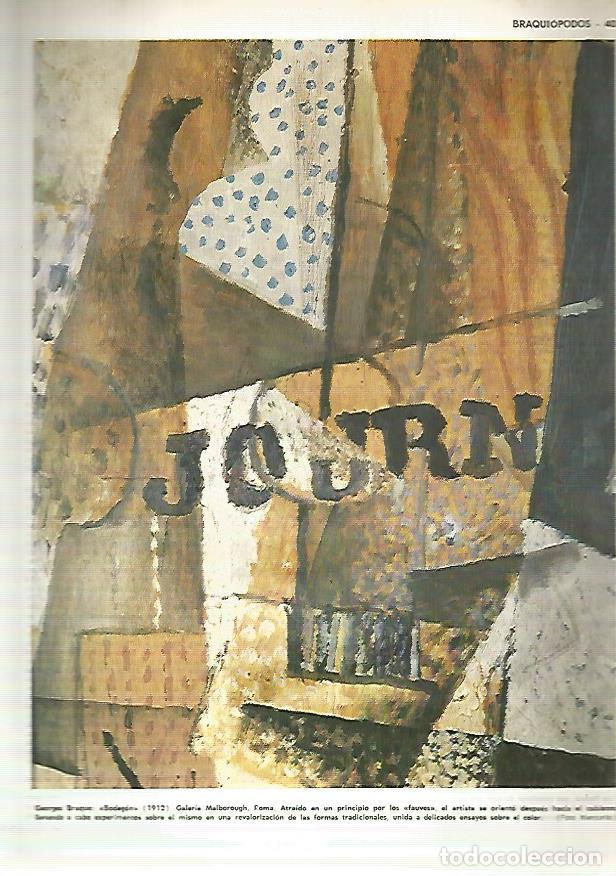 Otros art&iacute;culos de coleccionismo en papel: LAMINA MONITOR 0432: BODEGON POR BRAQUE - Varios